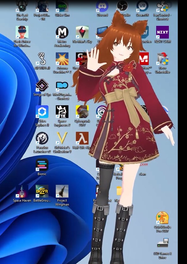 Liz waving from the Windows desktop